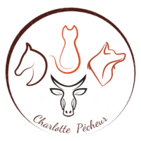 Charlotte Pécheur - Ostéopathe Animalier & Comportementaliste
