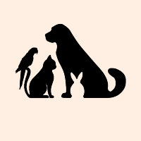 Les Copains de Médor