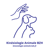 Kinésiologie Animale BZH