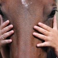 NATACHA SCHLUSSELHUBER