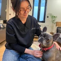 Pauline Faucillon - Ostéopathe Animalier