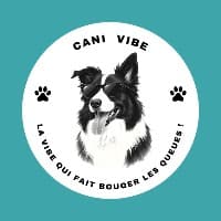 Cani Vibe