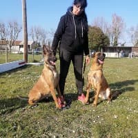 Animaux passion 83