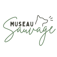 Museau Sauvage
