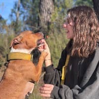 Kind Dog Training