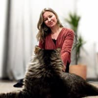 Féline Harmony