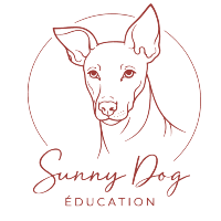 Sunny Dog Education 